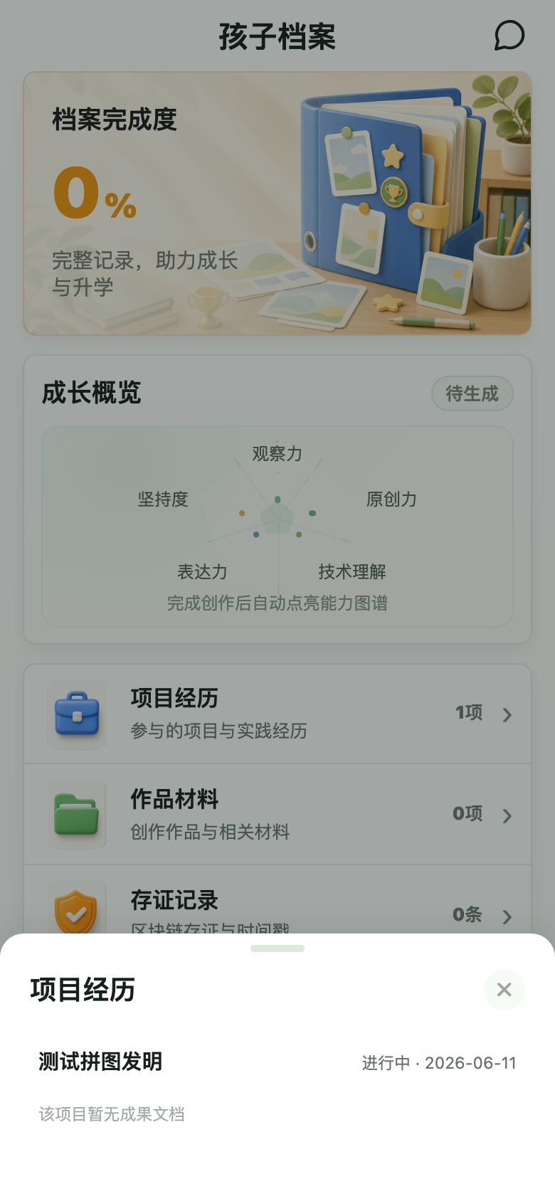档案项目经历弹层截图
